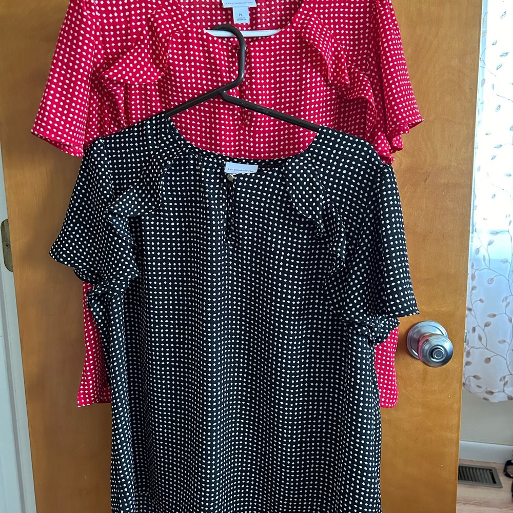 Gently worn blouses. Both are Petite Large.